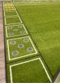 domino zielone 5.webp