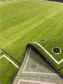 domino zielone 6.webp