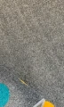 8989.webp