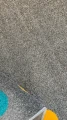8989.webp