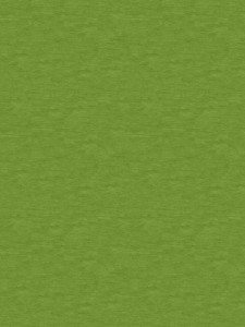 Dywan do przedszkola 3.00x4.00 FUN KIWI