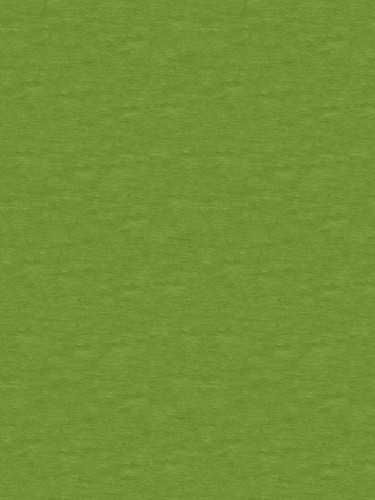 Mix kiwi 300x400.jpg