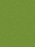 Dywan do przedszkola 4.00x5.00 FUN KIWI