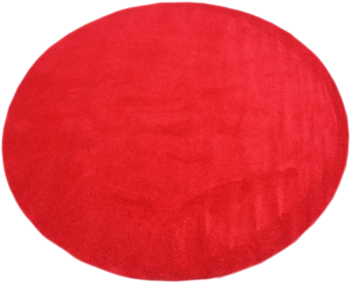 DSC06060.png