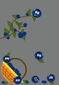 AJP-COLOR-Jagódki - szary.jpg
