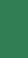 AJP-trawka-zielony.jpg